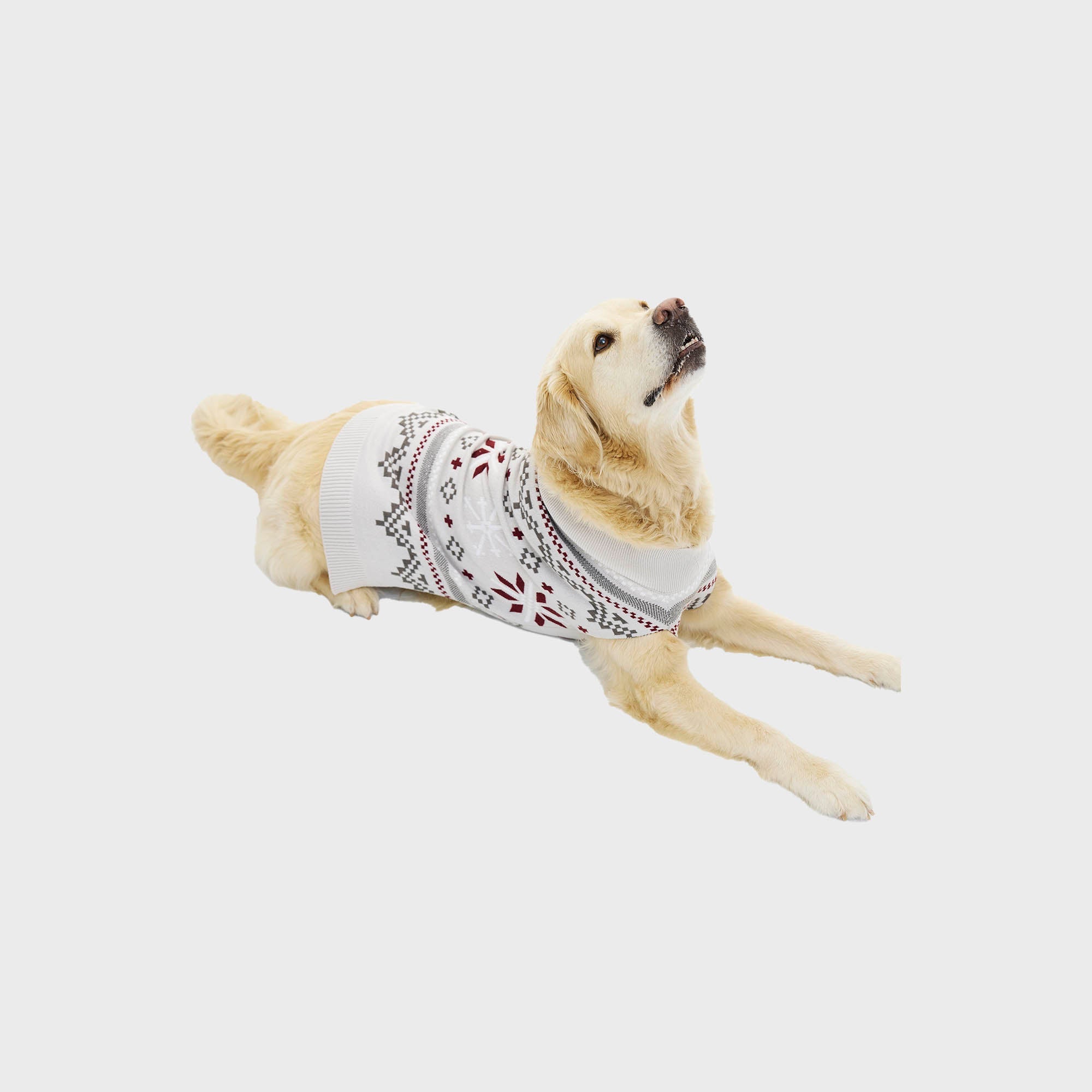 Fancy Hund jultröja