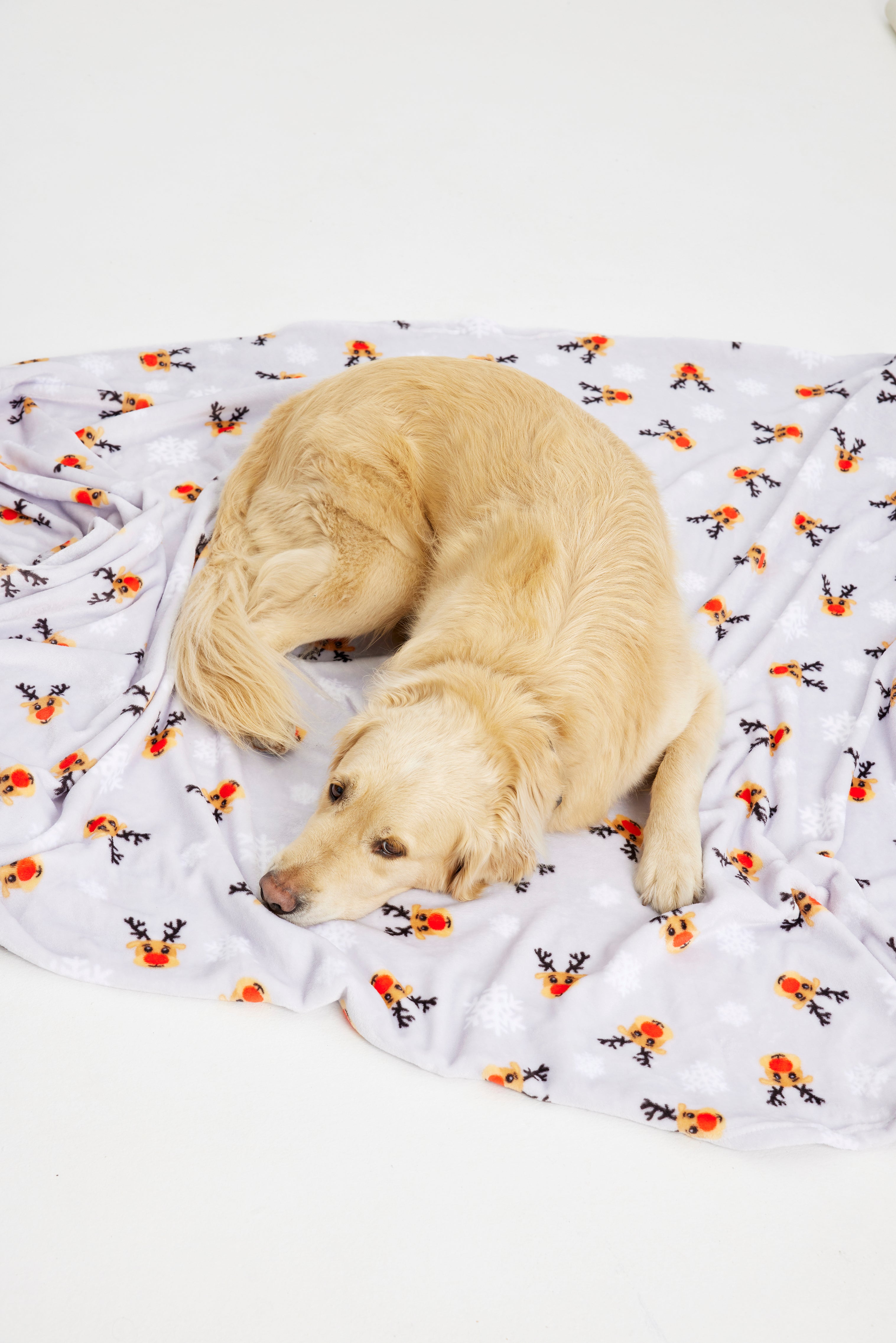 En hund ligger på en julfilt med renar ovanför.